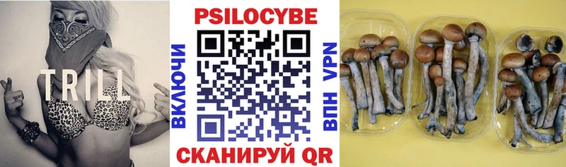 купить   Шилка  Псилоцибиновые грибы прущие грибы 